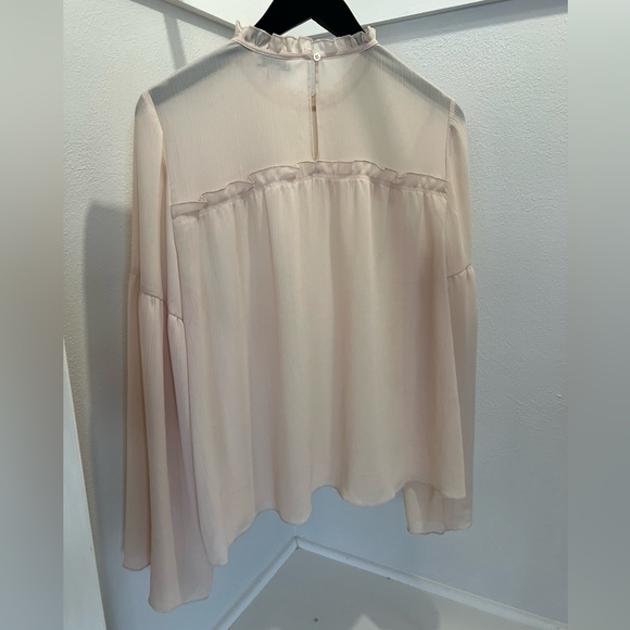 Carolina Belle: Sheer, Blush Blouse - Picture 2 of 4